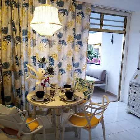 Bougainvillea Bamira *